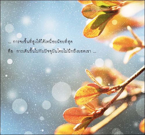 บทความให กำล งใจ ตอนท 14 คำคมการใช ช ว ต คำคม คำคมปล กใจ