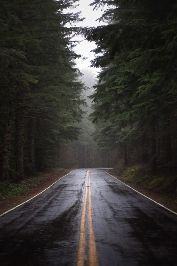 Thinking about: autumn road trips and cool mountain air - Hither and Thither