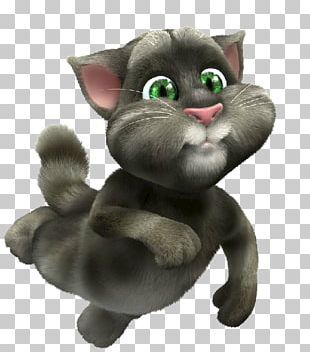 My Talking Tom YouTube Talking Tom And Friends Talking Angela Game PNG - Free Download