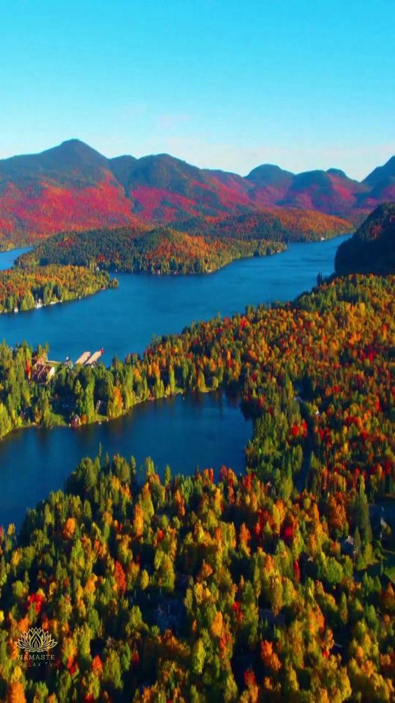 Relaxing Autumn Fall Colors Short Nature Video 4K