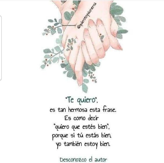 Pin De Jackie Suárez En Estado Privado Frases Autor Decir No