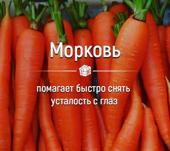 факти-бг