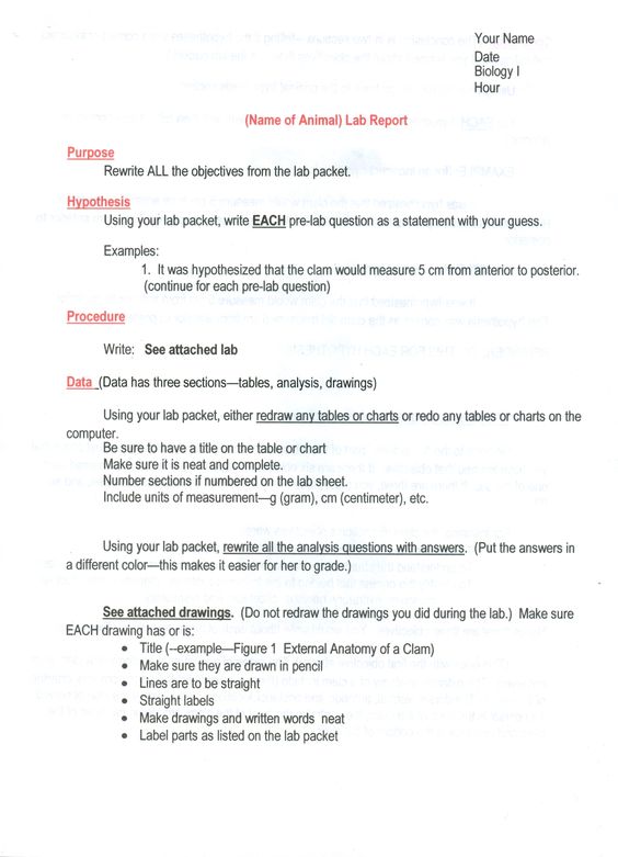 examples of flat characters in literature - Google Search - rhetorical precis template examples of flat characters in literature - Google Search - rhetorical precis template