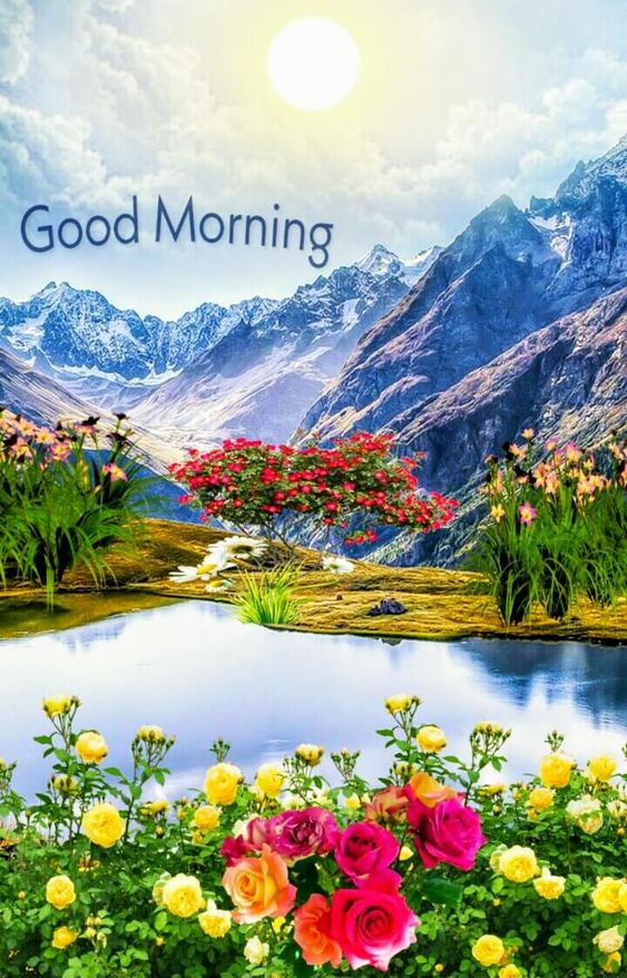 Top 30+ Good Morning Images, Good Morning Images For Whatsapp, Best Good Morning Images, Good Morning Quotes - Mixing Images