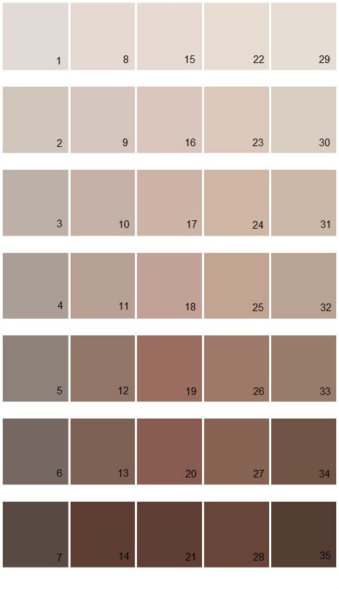 Sherwin Williams Fundamentally Neutral House Paint Colors - Palette 02