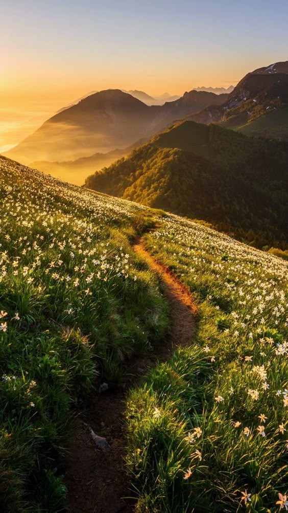Landscape, road, mountains, sunrise, 720x1280 wallpaper
