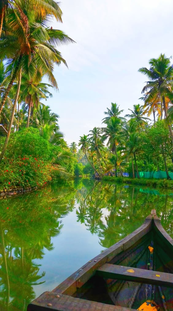 Kerala India backwaters picture