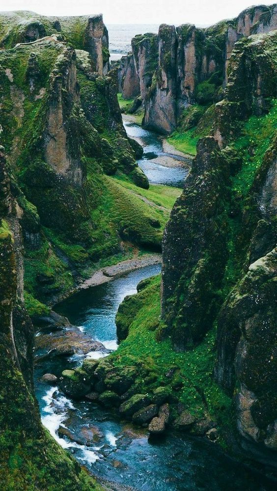 Wonderful nature\'s #nature #teesylvania #photos #amazingworld #world #amazingphotography #naturephotography #photography #incrediblephotos Check out teesylvania.com to find out how you can support the forests with style!