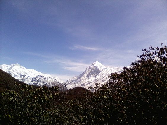 Goecha La About the Destination: Located in Sikkim, Goecha La trek is the dream and desire of the adventure lovers throughout the country! Nestled midst vibrant and colourful flora and fauna, it is also the way to the astounding Kanchenjunga National Park and its opulent beauty. Originating from Yuksom, this trek passes through beautiful landscapes that are filled with exotic flowers and immensely attractive meadows and forests. The Rathong Chu River on the way adds more charm and appeal to the