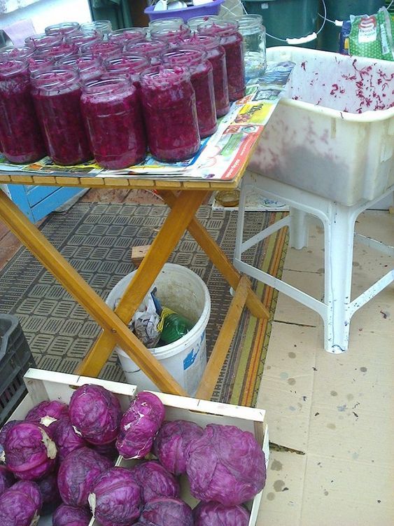hogyan lehet sokat és gyorsan elkészíteni