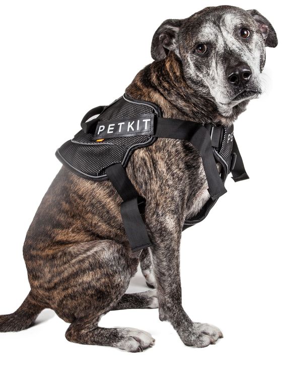 Petkit Air Quad Connecting Adjustable Cushioned Chest Compression