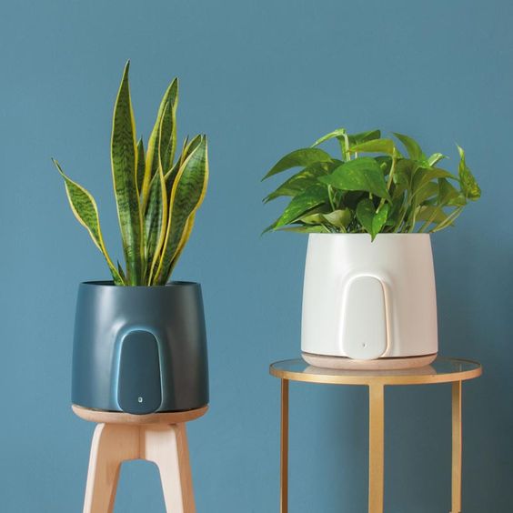 A’Design Award Announce Their World Design Rankings