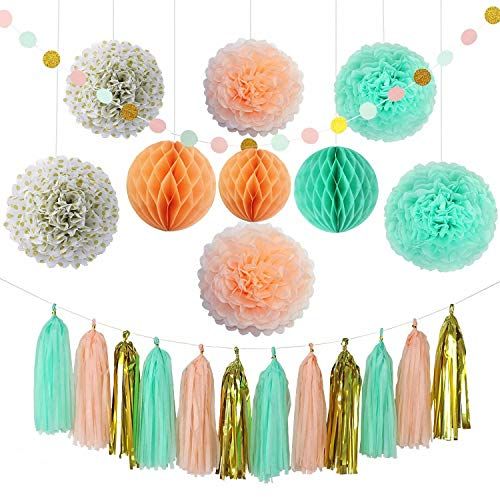 Mint Tissue Pom Pom Tassels Party Banner Baby Shower Birthday Wedding Garland