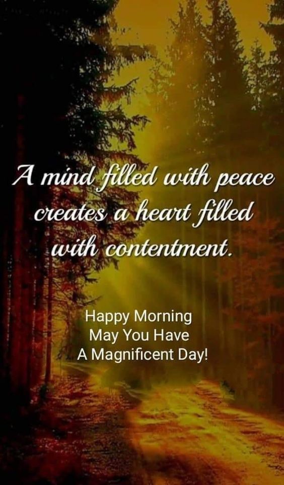 good-morning-dr