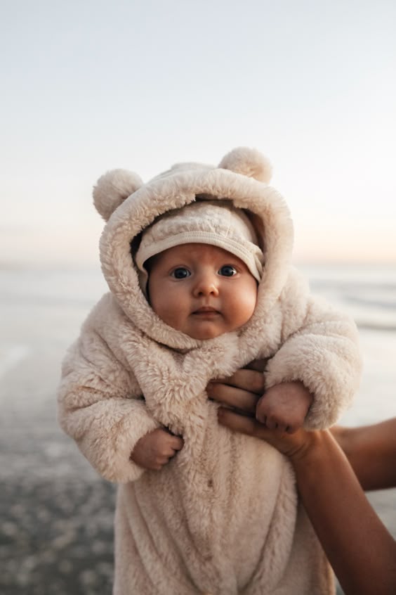 Baby bear
