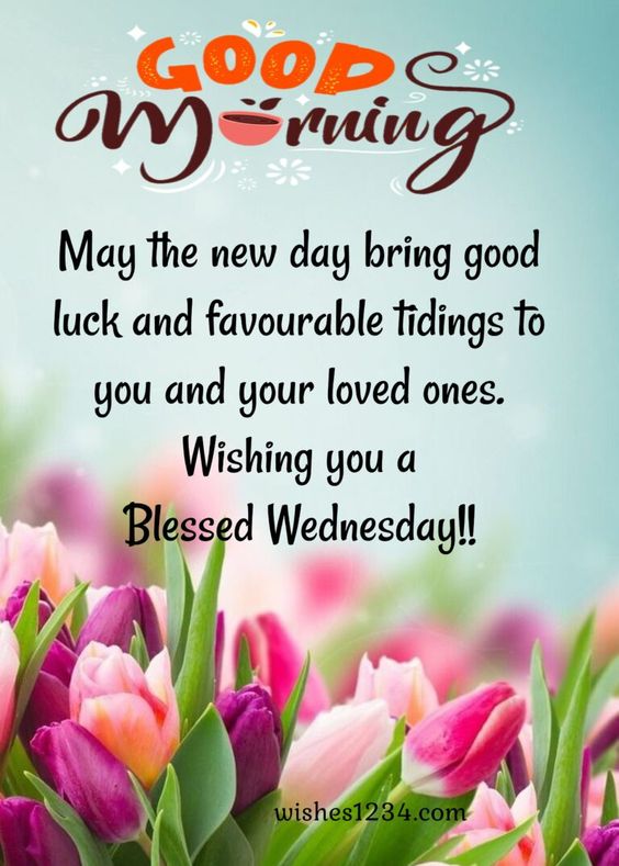100+ Wednesday quotes, wishes, blessings, messages and happy hump day