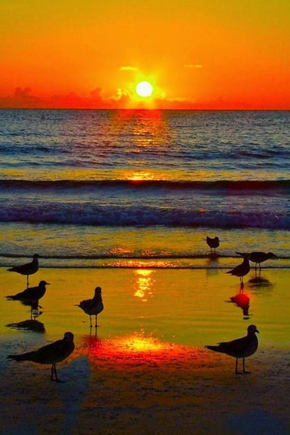 rosiesdreams: “ Awe in the moment ”