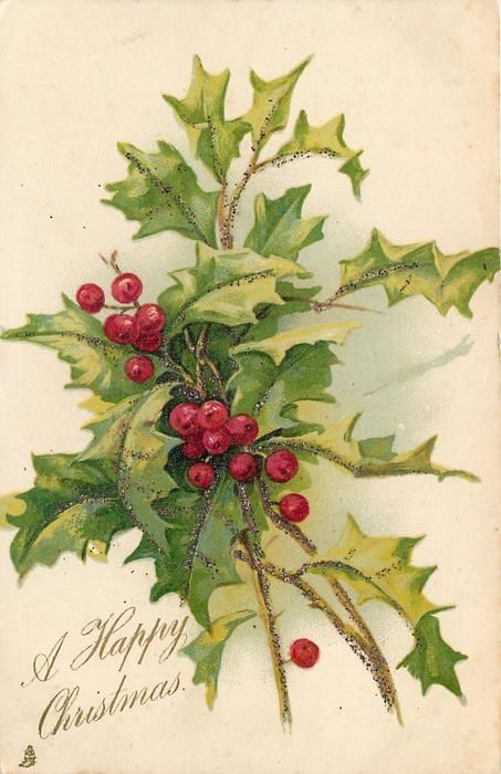A HAPPY CHRISTMAS sprig of holly clusters of berries diagonally from upper left to lower right - TuckDB Postcards