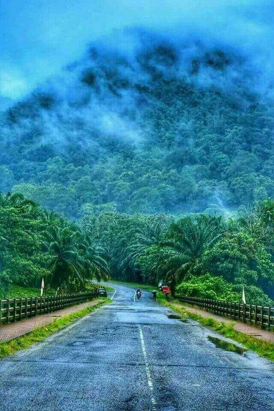 Munnar, Kerala