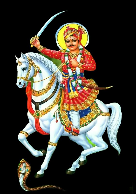 janavar-photo-3d