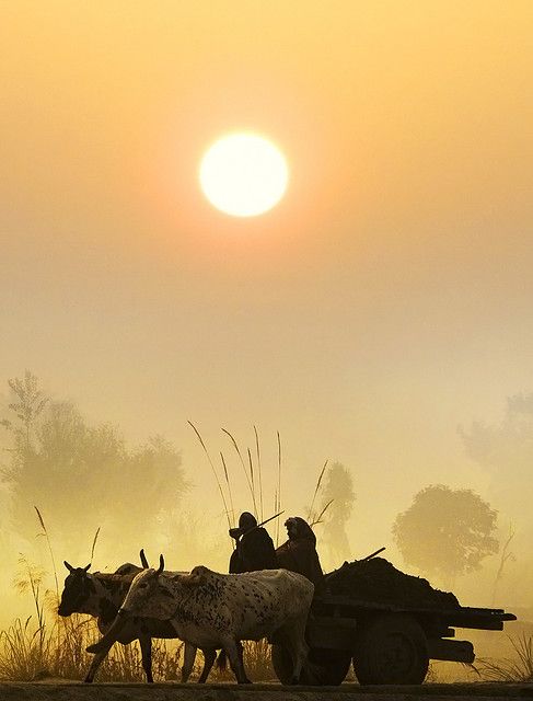 Punjab