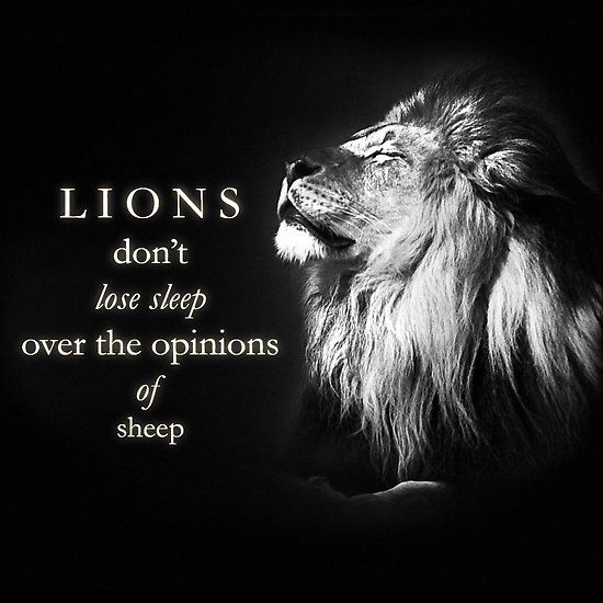 ‘Lions Don\'t Lose Sleep Over the Opinions of Sheep’ by Mithrandir24