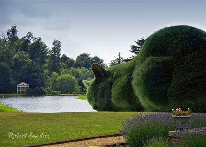 homenaje a su gato fallecido homenaje a su gato fallecido