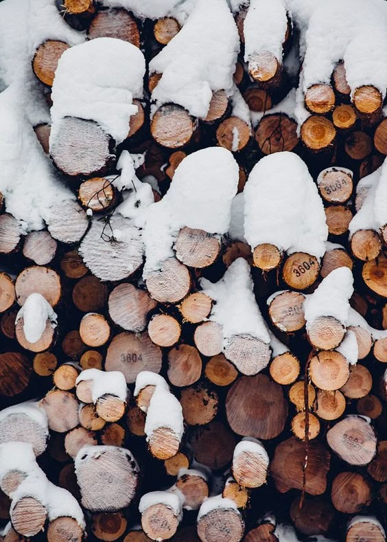 Photo Journal: Winter in Swedish Lapland | The Future Kept