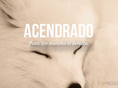 Fluffy Significado En Castellano Fluffy Significado En Castellano