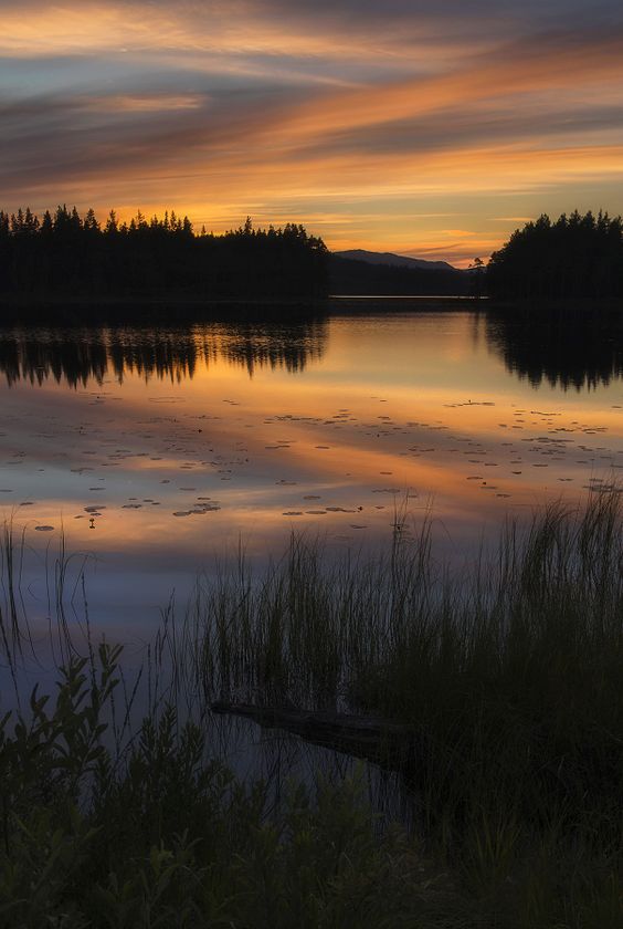 Evening at the forest lake
