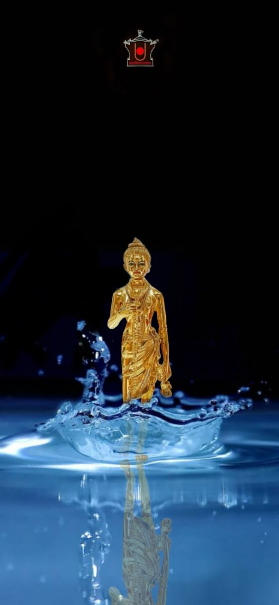 janavar-photo-3d