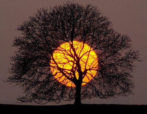 The Power of Unconditional Love: Love Yourself First