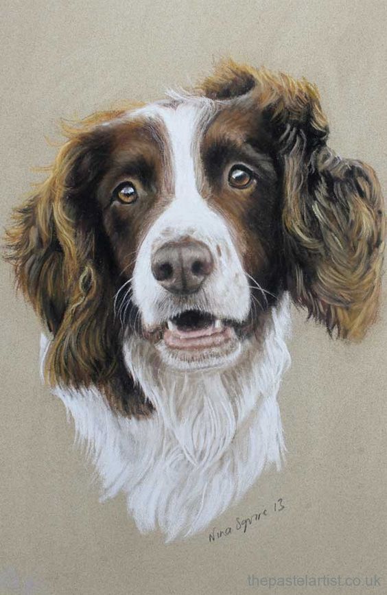 Pastel Dog Portraits By Nina Squire The Pastel Artist Dog