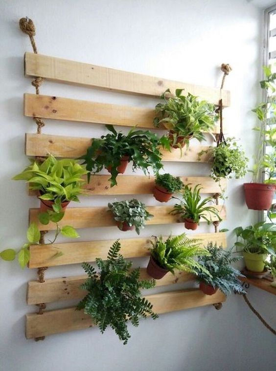 wall mounted planters with fern plants #gardenIdeas #garden #gardening #plants #homeDecor #indoor #shelves