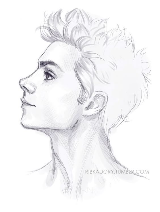 Drawing vector portraits Part 4 The Lips - Pixel77