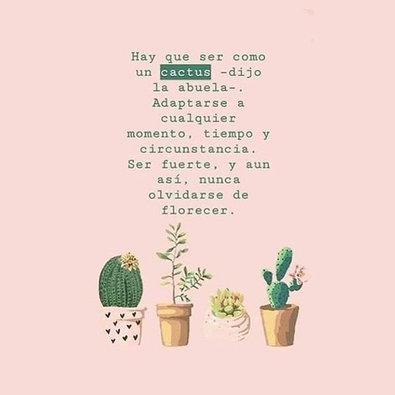Hay Que Ser Como Un Cactus Dijo La Abuela Adaptarse A Cualquier Momento Tiempo Y Circunstancia Ser Frases Motivadoras Frases Girasoles Frases Para Abuelos