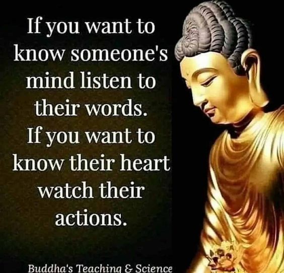 🙏Namo Buddhay🙏 💖Follow👉 @nalandawellness for spiritual words ✨ . . #babasaheb #lordbuddha #lordbuddhaquotes #buddhatemple #buddhistworld #buddhist #ambedkar 🌹🙏🙏🙏🌹