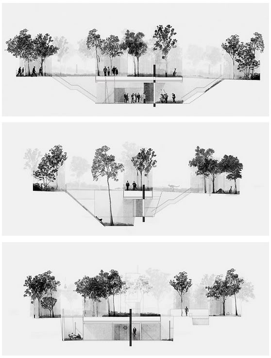 Landscape Architecture Section Drawings 823 jackson street | ubc school of architecture and landscape Landscape Architecture Section Drawings 823 jackson street | ubc school of architecture and landscape