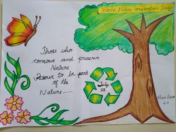 World nature conservation day