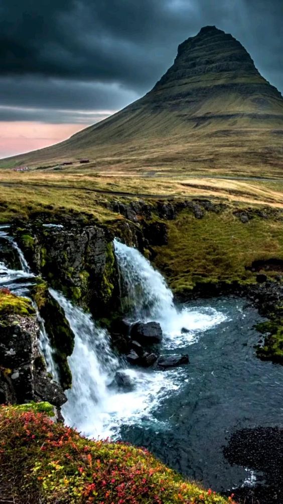 #amazing nature
