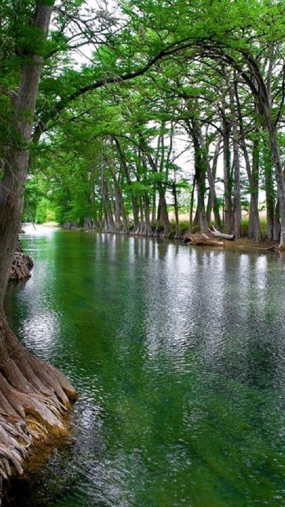 Natural view