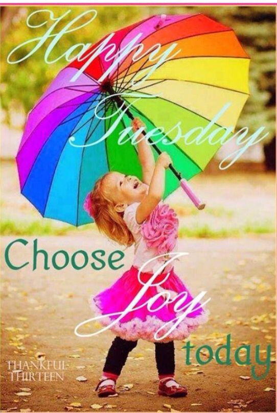 Happy Tuesday