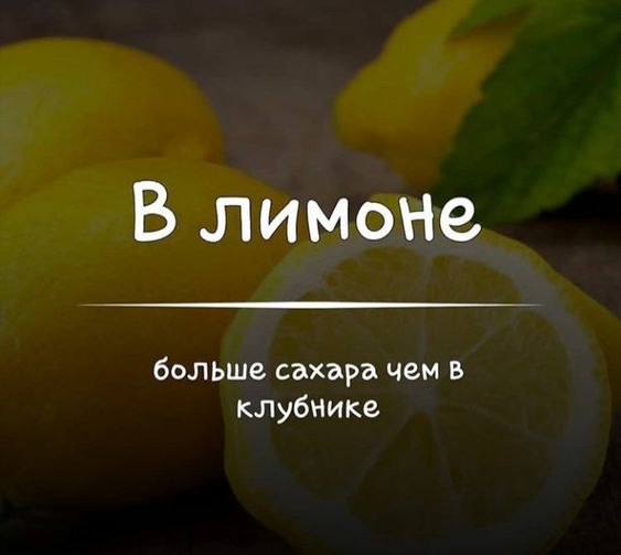 факти-бг