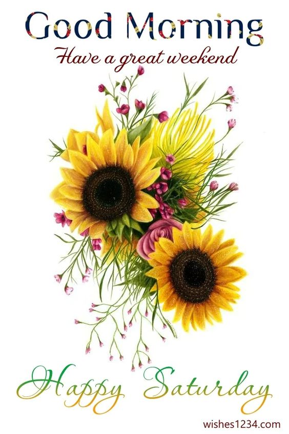 50+ Happy Saturday quotes and blessings images