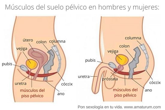 video musical de ejercicios para la prostatitis video musical de ejercicios para la prostatitis