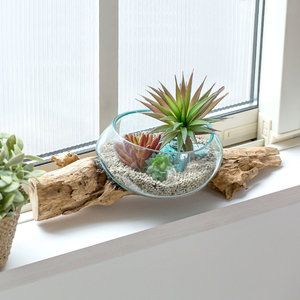 楽天市場 ガラスと流木のプランターオブジェ Sサイズ 飾り台 ディスプレイ おしゃれ 観賞用 多肉植物 観葉植物 室内用 ウッド 花入れ プランター 流木 水槽 水鉢 フラワーボウル ガラスオブジェ 塩系 インテリア 男前 西海岸 北欧 生活雑貨のネットショップ 楽天市場 ガラスと流木のプランターオブジェ Sサイズ 飾り台 ディスプレイ おしゃれ 観賞用 多肉植物 観葉植物 室内用 ウッド 花入れ プランター 流木 水槽 水鉢 フラワーボウル ガラスオブジェ 塩系 インテリア 男前 西海岸 北欧 生活雑貨のネットショップ