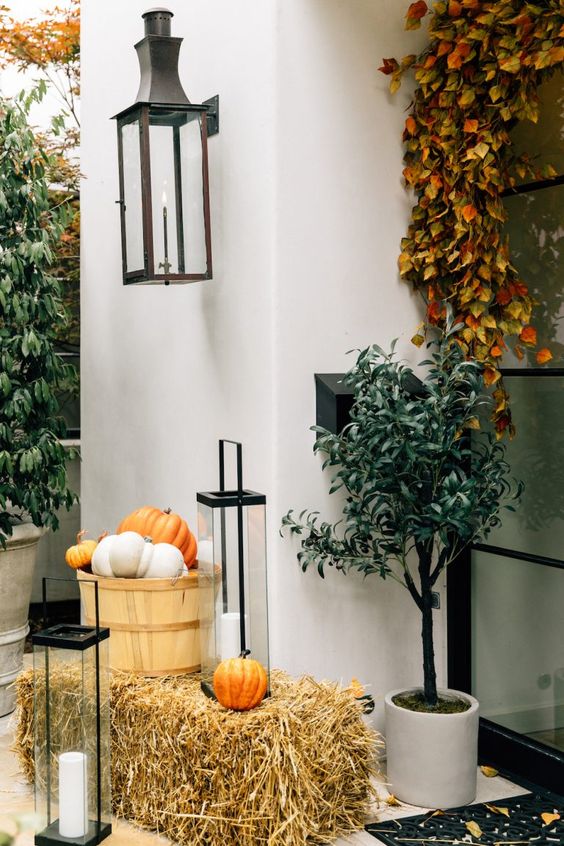 7 Easy Ways to Have the Best Fall Ever