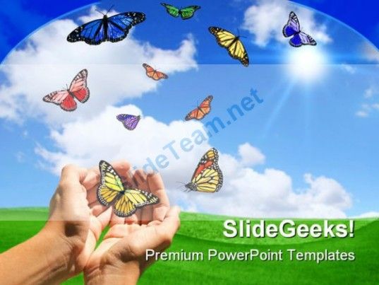 Turtle Animal PowerPoint Template 0910 Presentation Themes and - summer powerpoint template Turtle Animal PowerPoint Template 0910 Presentation Themes and - summer powerpoint template