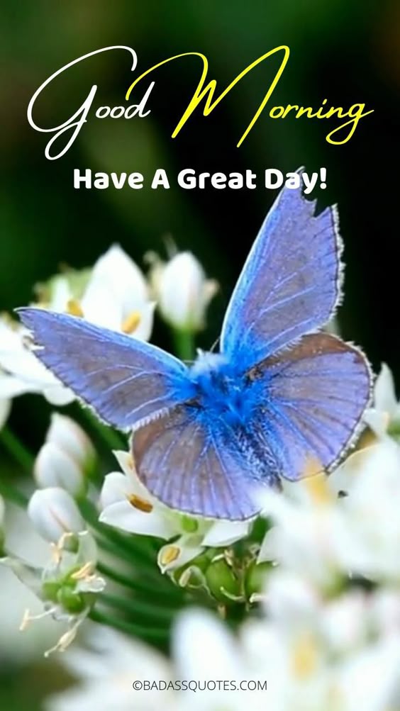 150+ Beautiful Good Morning Video, Images & Quotes!