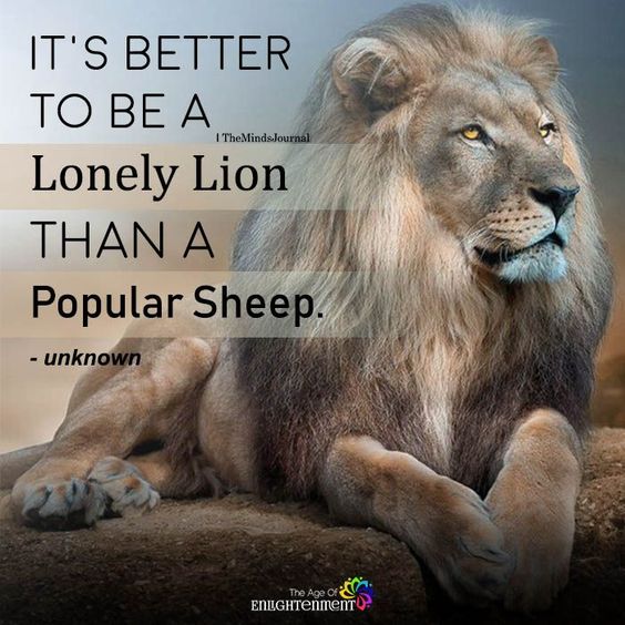It\'s Better To Be A Lonely Lion